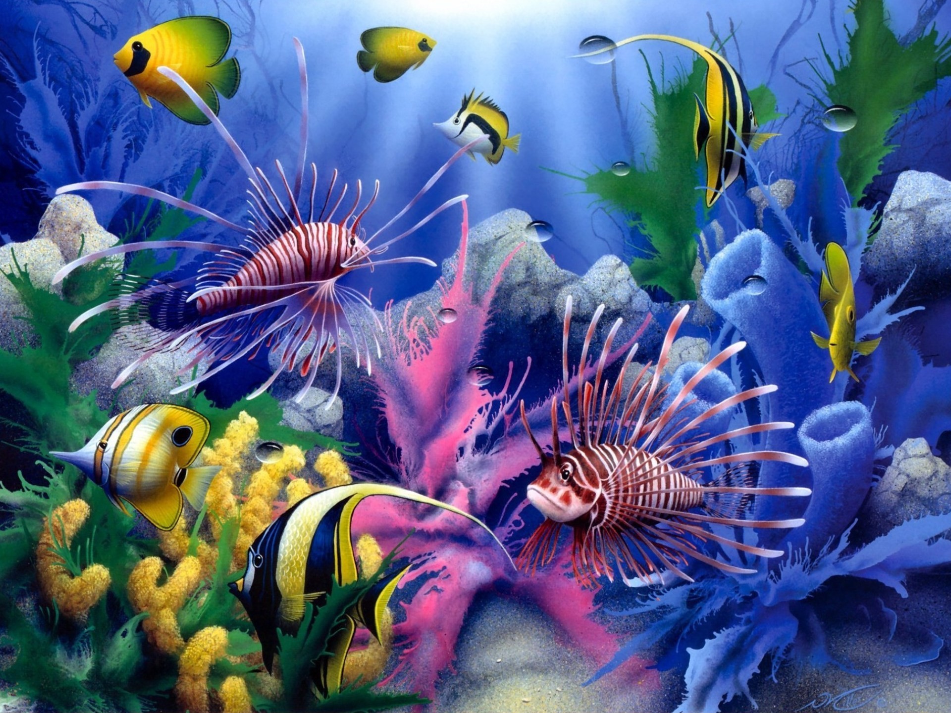 pin Drawn coral reef ocean floor