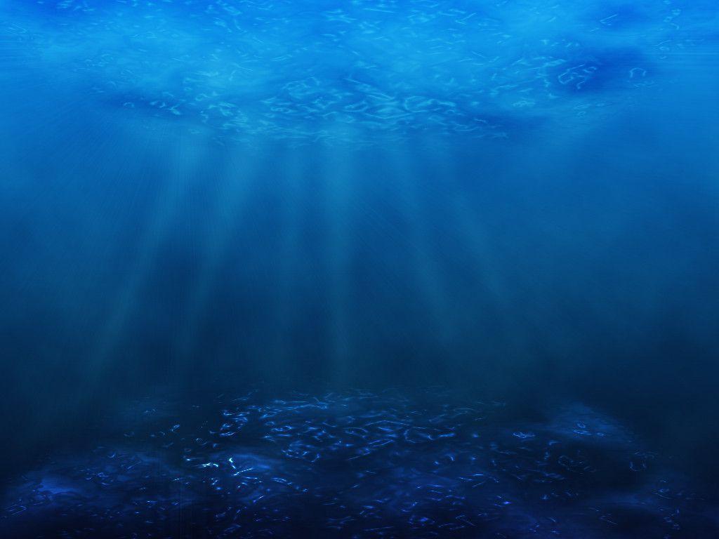 Sea Floor Wallpaper