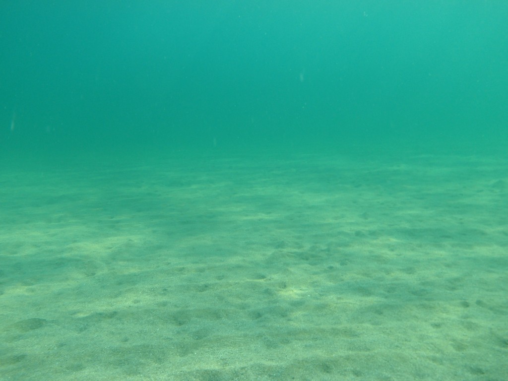 Sea floor