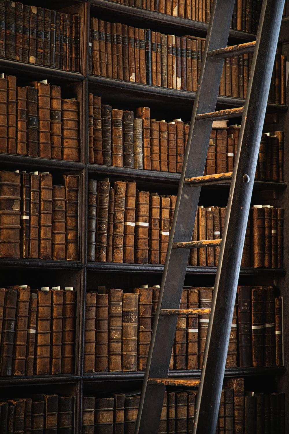 Old Library Picture. Download Free Image