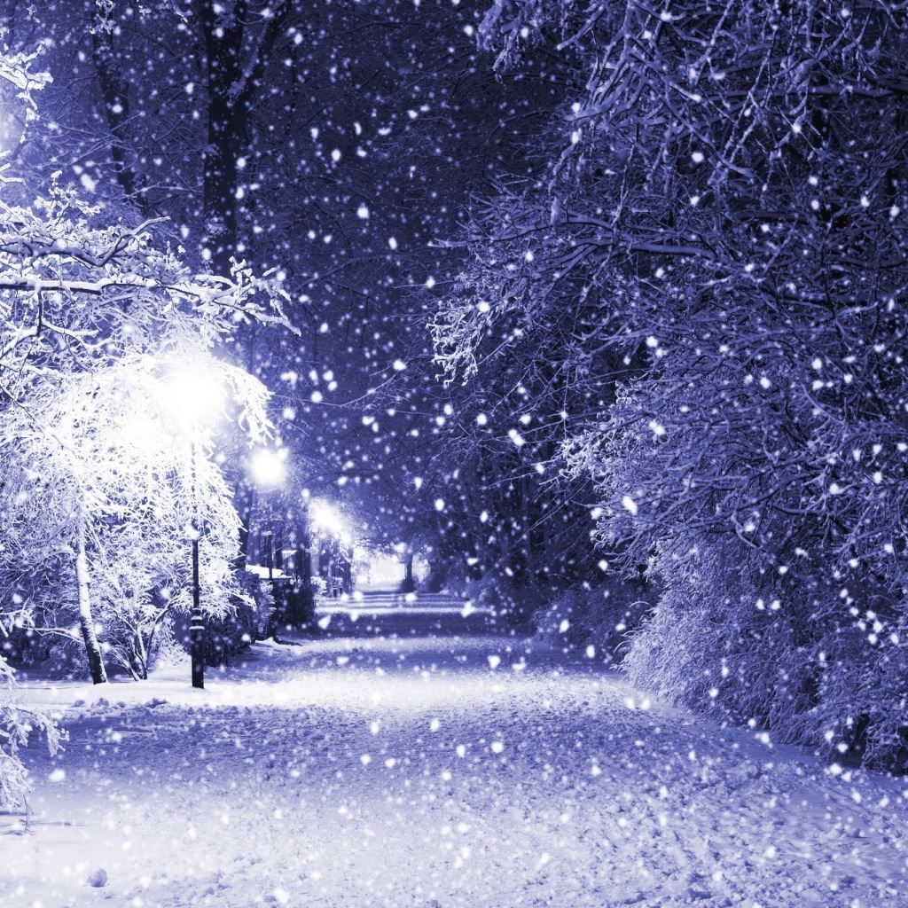 Winter Night iPad Wallpaper Free Download