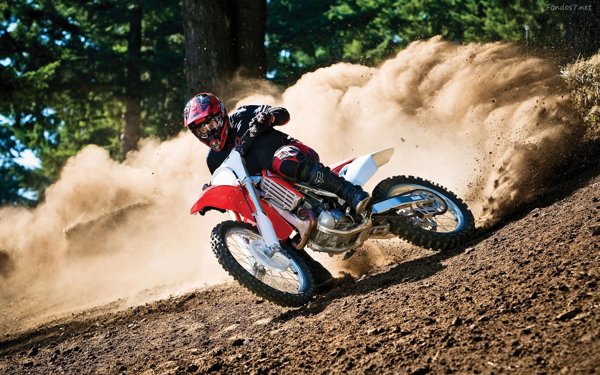 Honda motocross wallpaper