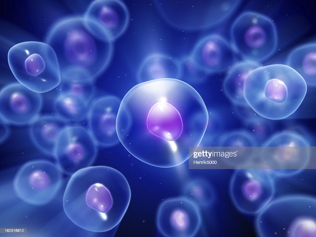 Human Cell Wallpapers - Wallpaper Cave