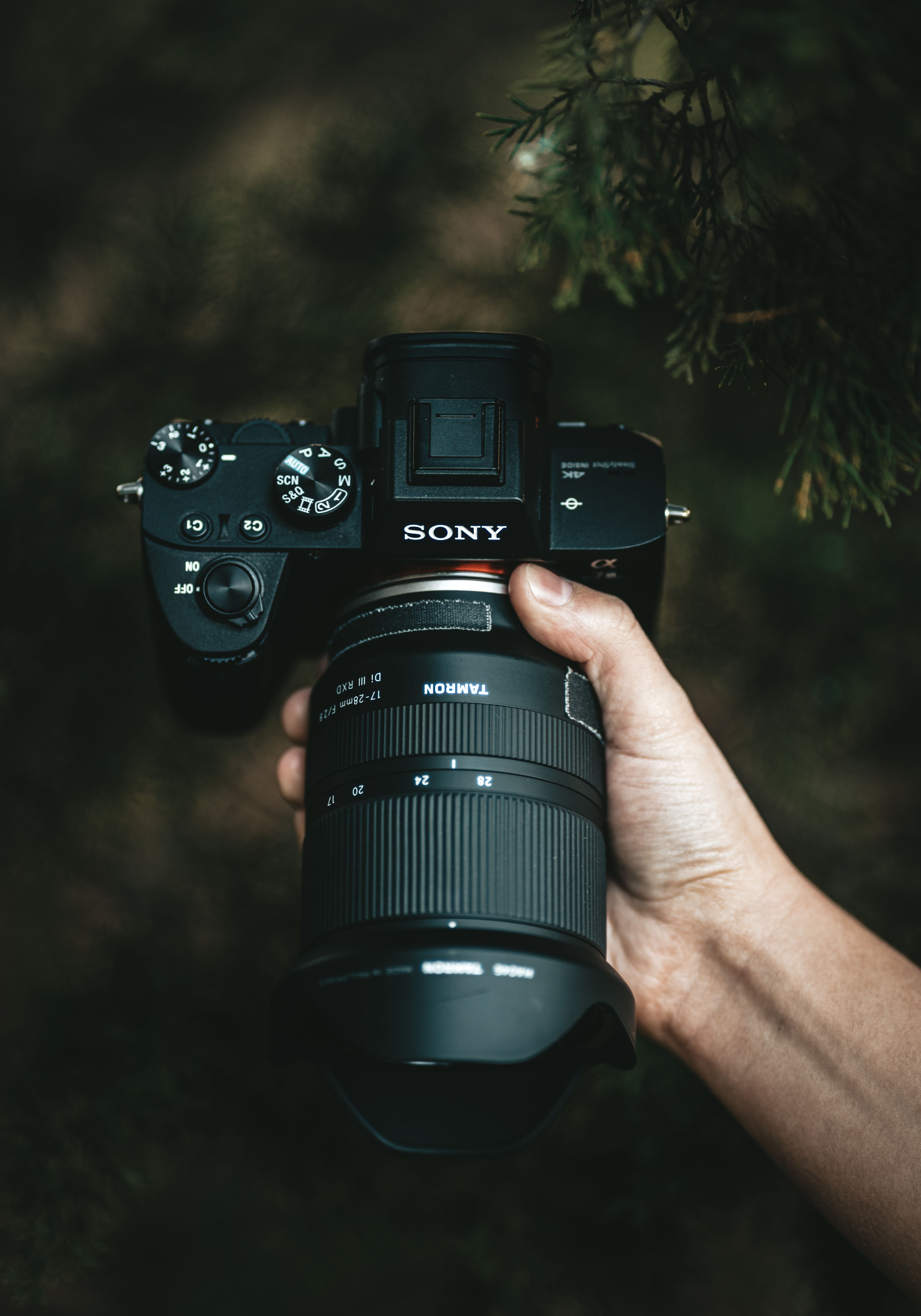 Sony A7iii Wallpapers Wallpaper Cave