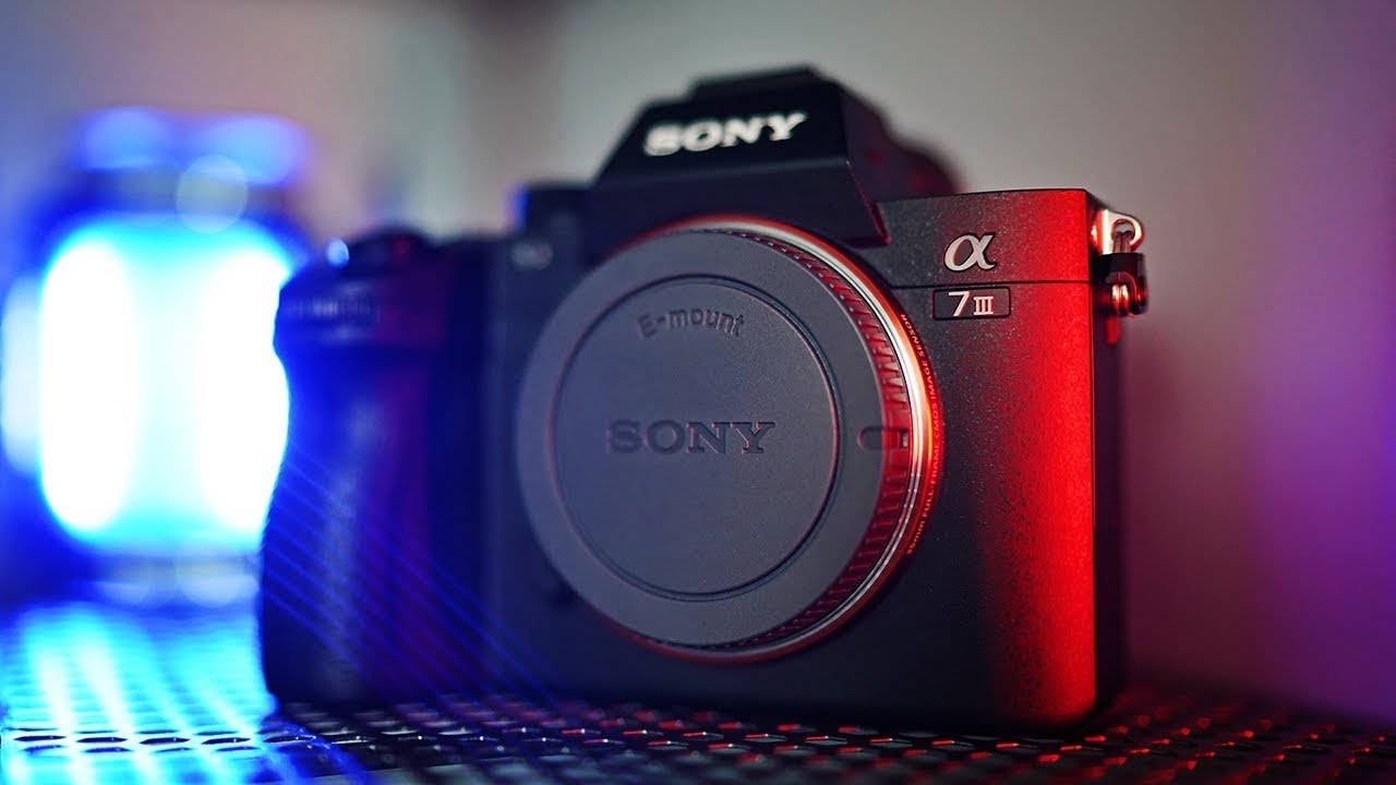 Using The SONY A7III in the REAL WORLD
