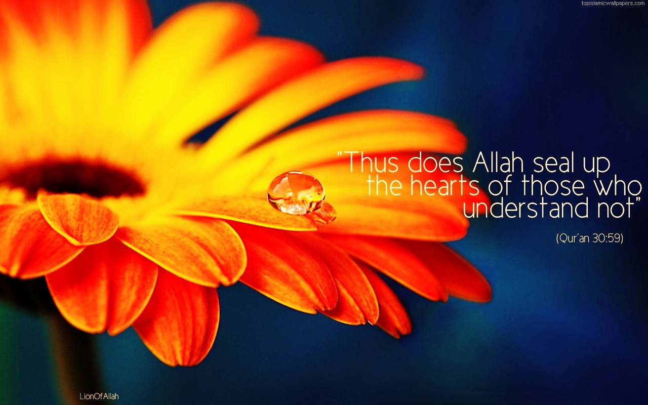 thus Allah Does Seal Up - Quran Verse Wallpaper. Islamic Quotes Directory