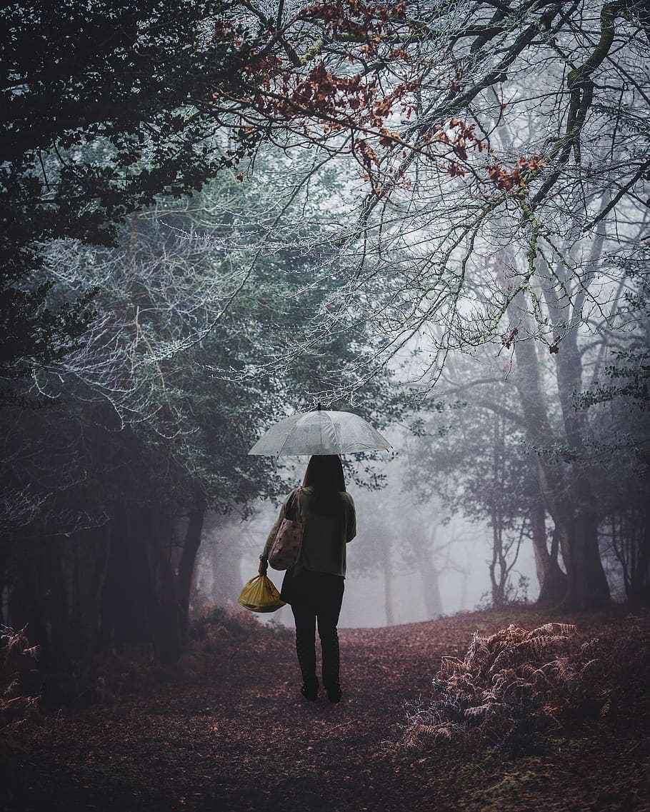 People, Girl, Alone, Jungle, Standing, Outdoors, Nature, Standing Alone In Nature