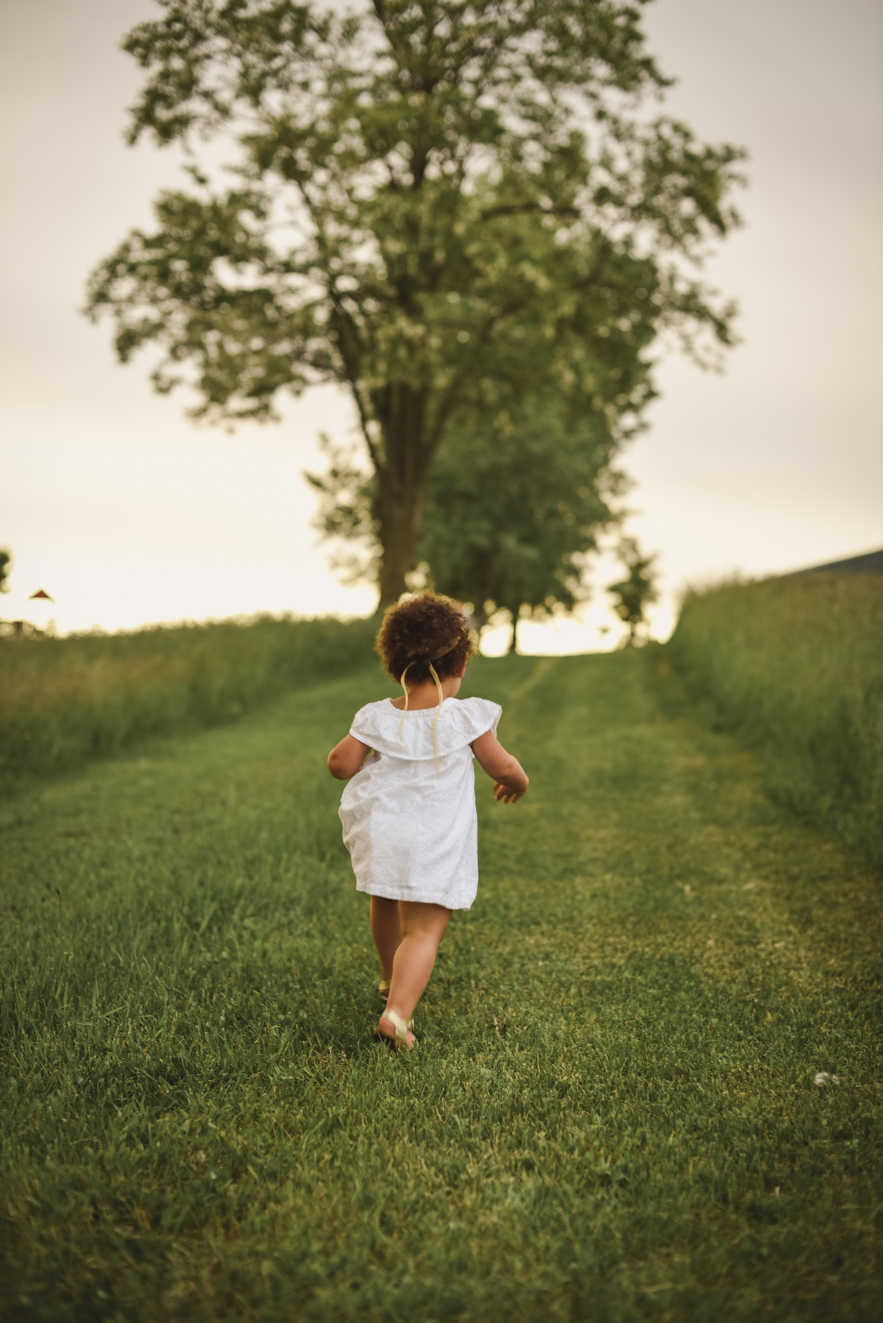 Girl Standing on Grass Field Facing Trees · Free