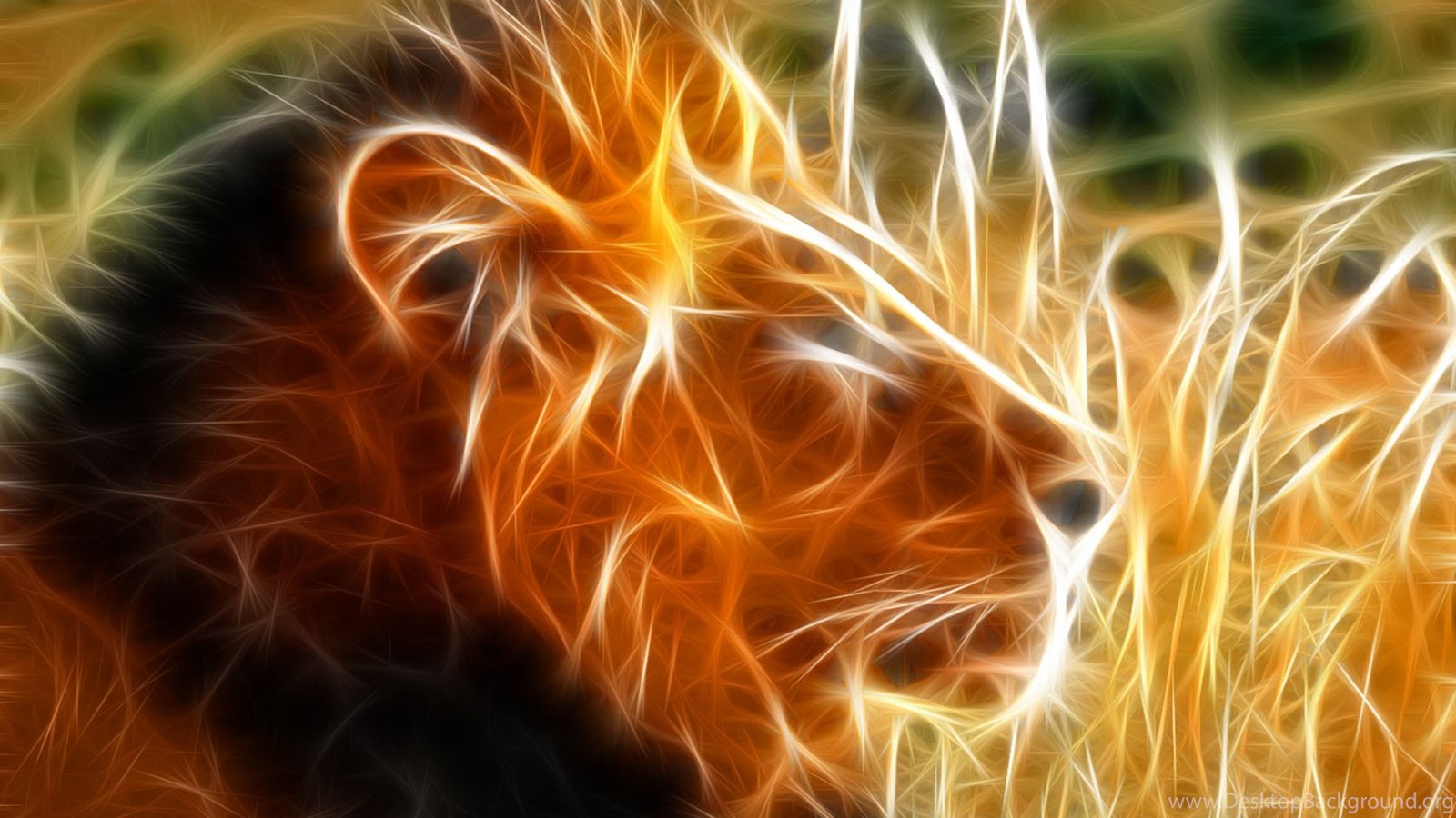 Glowing Lion Animal Wallpaper 050 Free HD Wallpaper Stock. Desktop Background