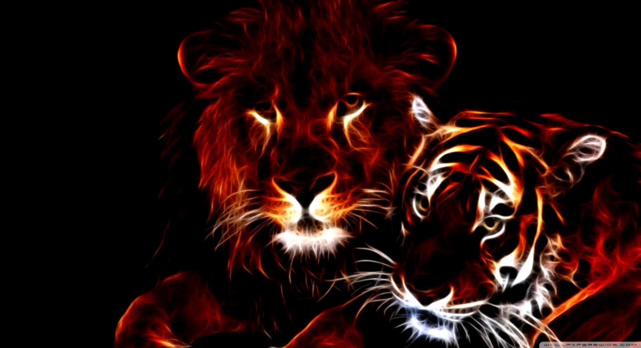 Glowing Lion And Tiger ❤ 4k HD Desktop Wallpaper For Tiger And Lion