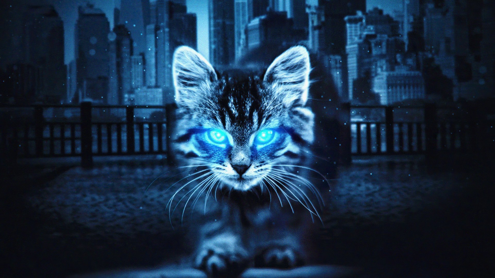Cat with Glowing Eyes in the Night