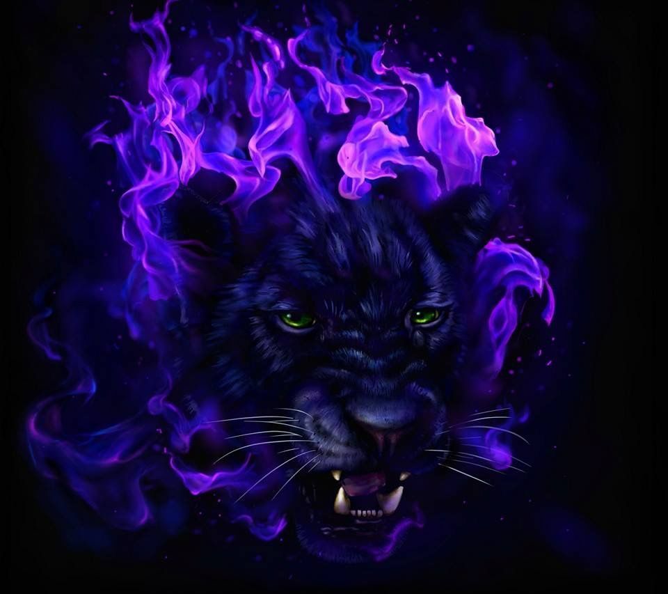 Purple Animal Wallpaper Free Purple Animal Background