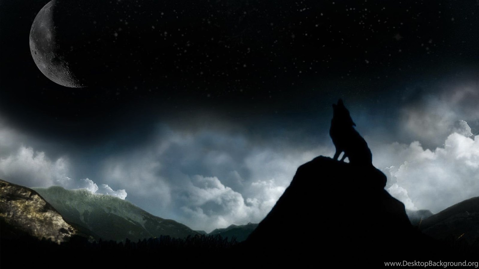 Black Wolf Wallpaper HD Desktop Background