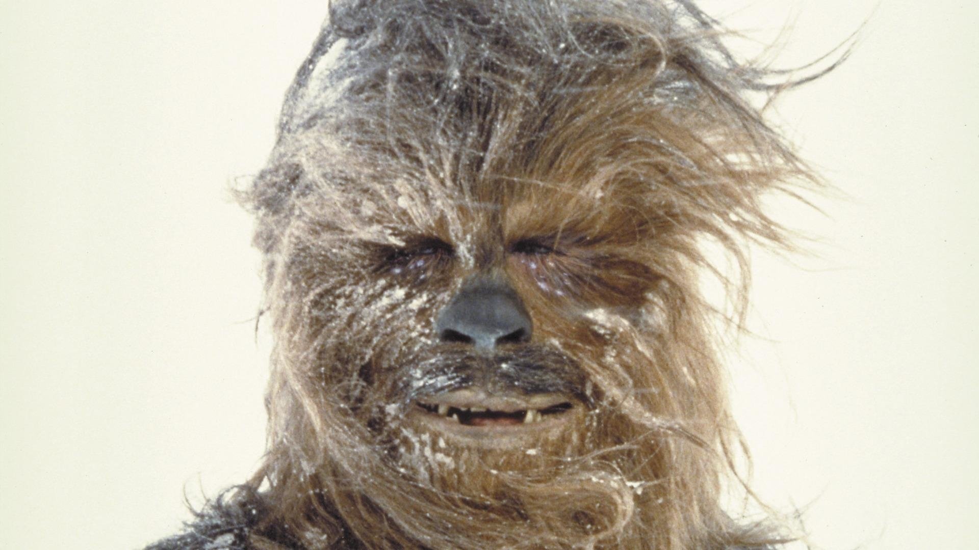 Chewbacca HD Wallpaper and Background Image