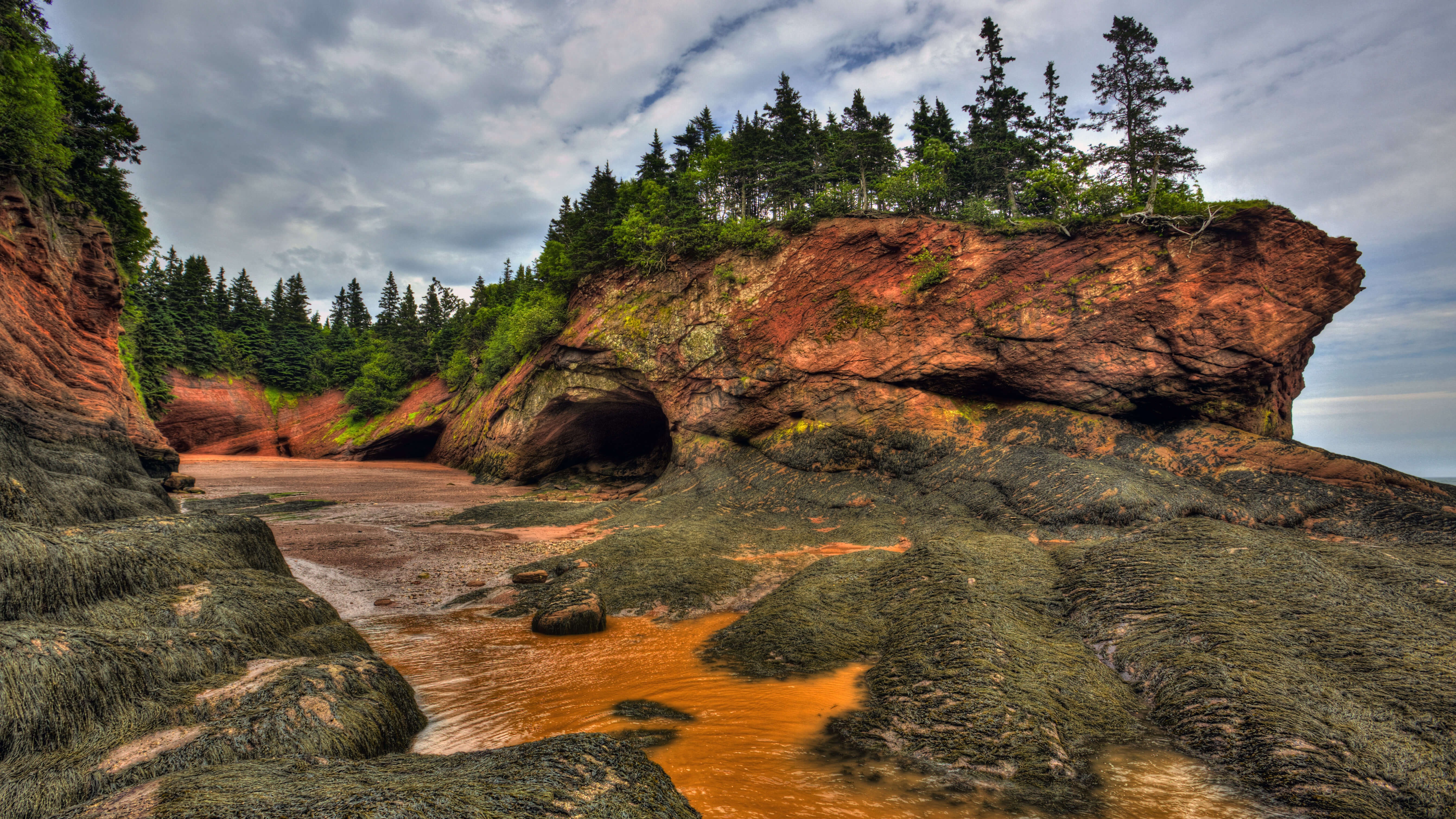 The Bay of Fundy, New Brunswick, Canada 4k Ultra HD Wallpaper
