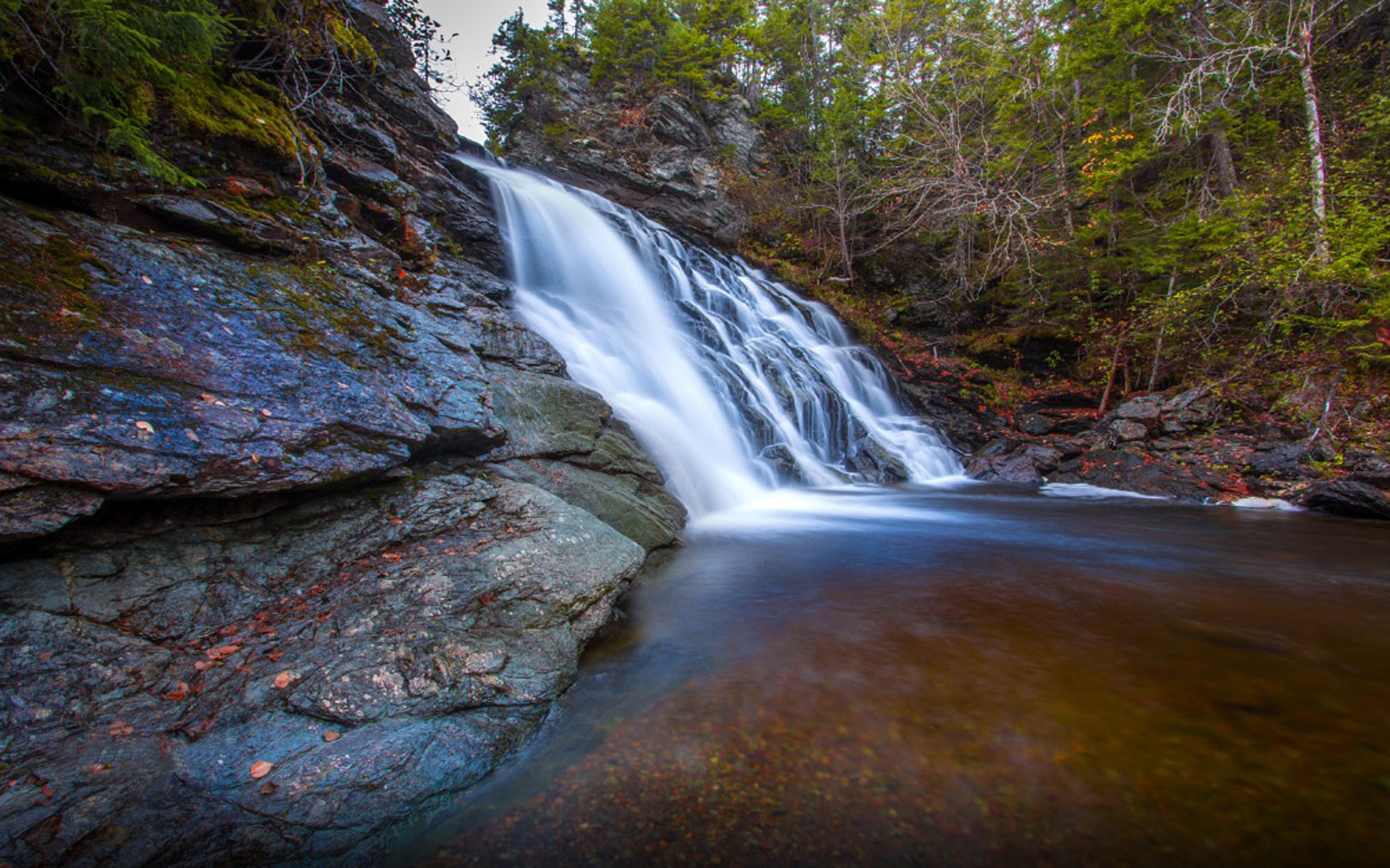 Fundy National Park New Brunswick Canada Laverty Falls HD Wallpaper, Wallpaper13.com