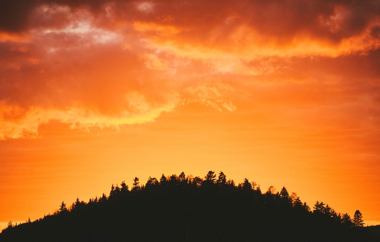Wallpaper Canada, landscape, nature, dusk, outdoors, Saint John, Happy Little Trees, New Brunswick image for desktop, section природа