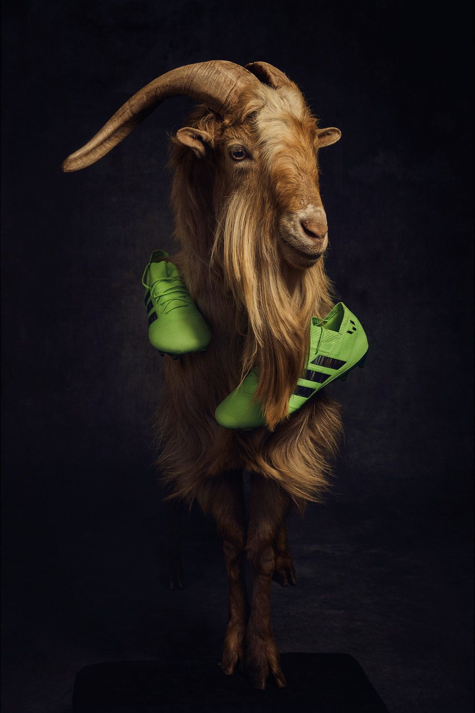 Messi The Goat Wallpapers Wallpaper Cave