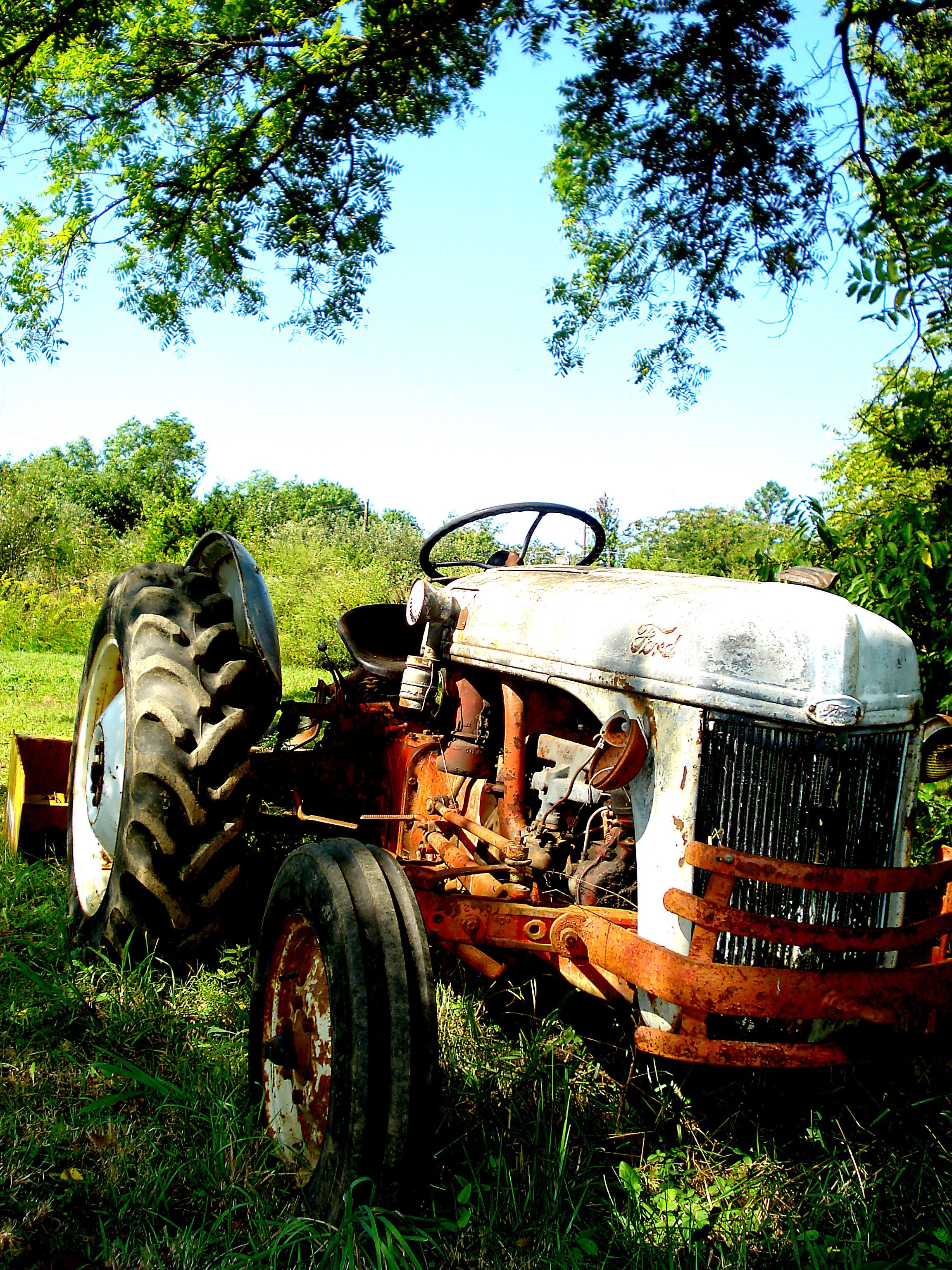Old Ford Tractor. Tractors, Old tractor, Ford tractors