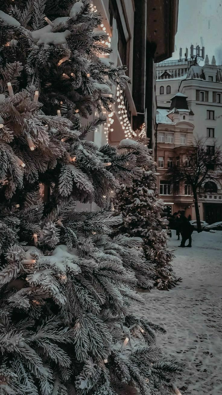 Merry christmas. Wallpaper iphone christmas, Winter wallpaper, Christmas wallpaper