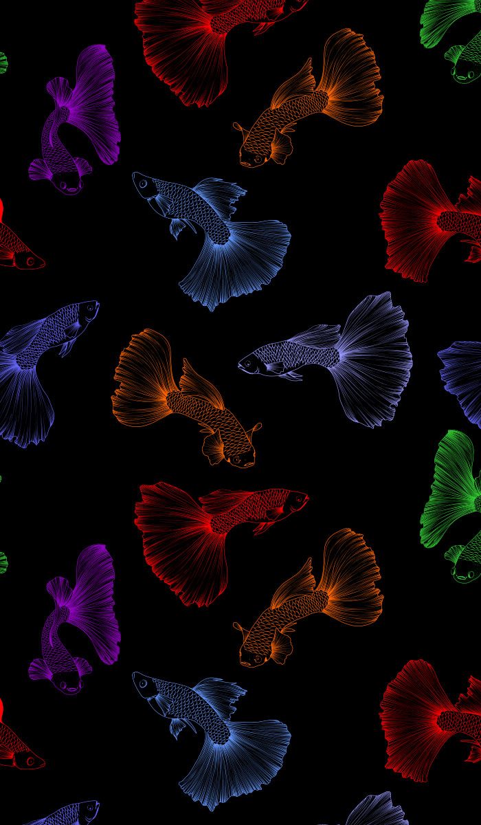 Seamless fish pattern with black background. Vector aquarium guppies in different colors f. Flower phone wallpaper, Beautiful summer wallpaper, Deadpool wallpaper