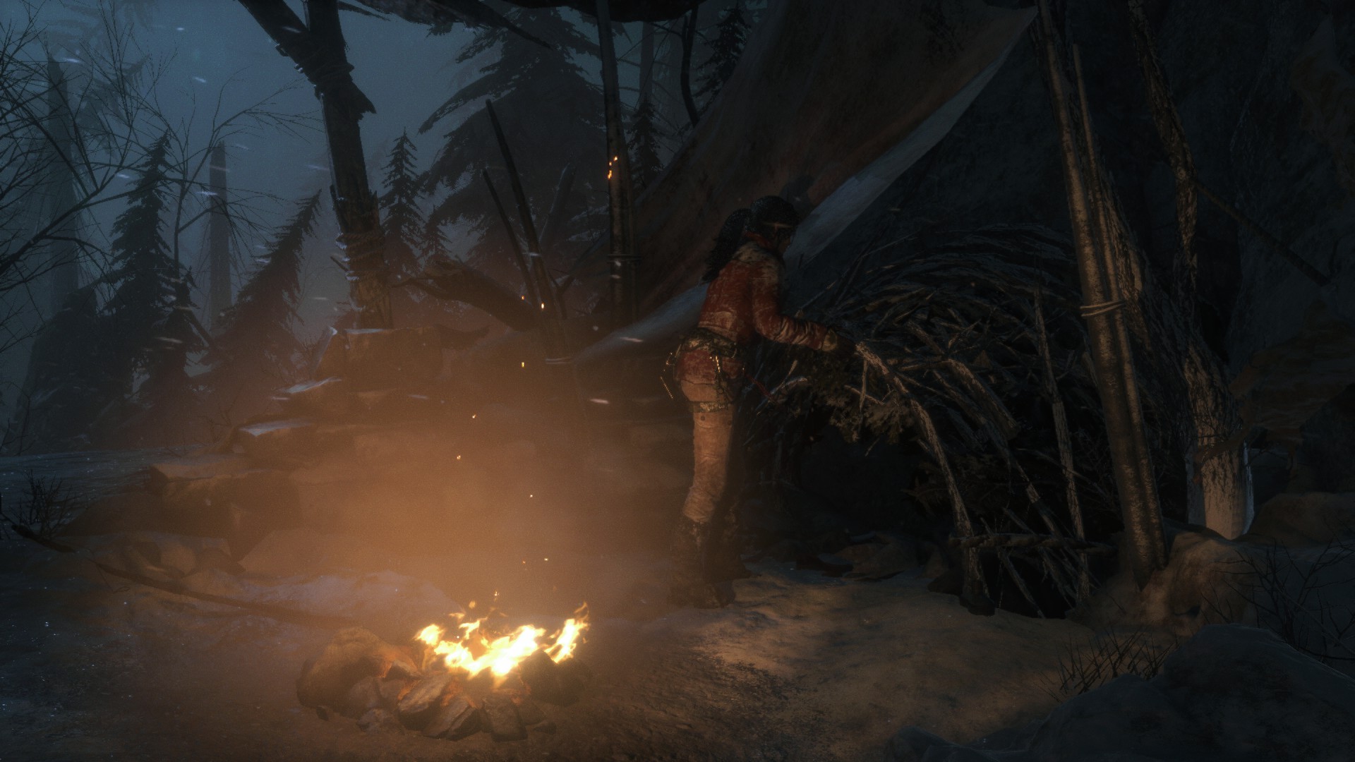 Wallpaper, shelter, winter, Lara Croft, Rise of the Tomb Raider, campfire, red coat, night, trees 1920x1080