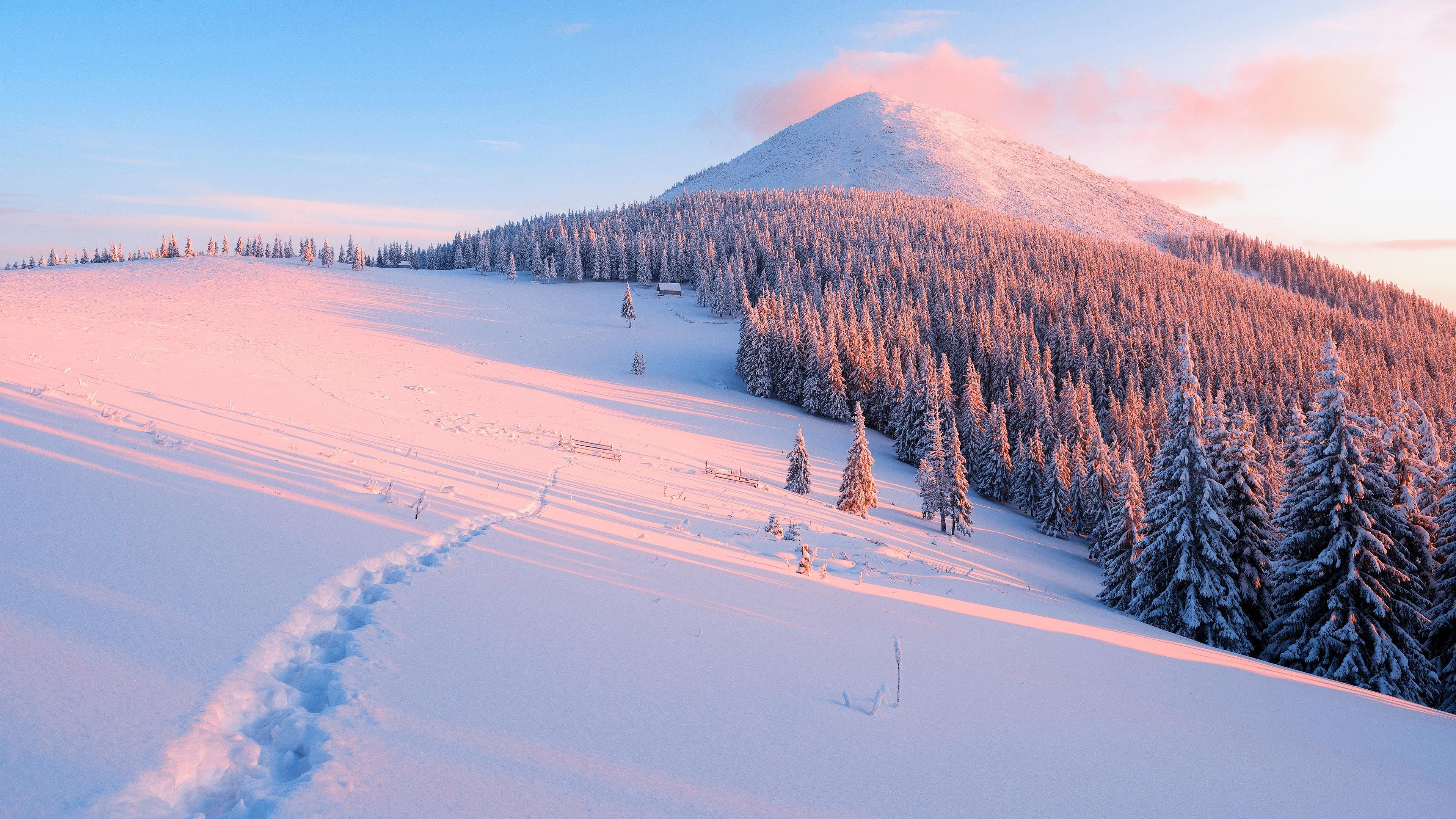 Snowy Trail. Winter landscape, Winter wallpaper desktop, Landscape wallpaper
