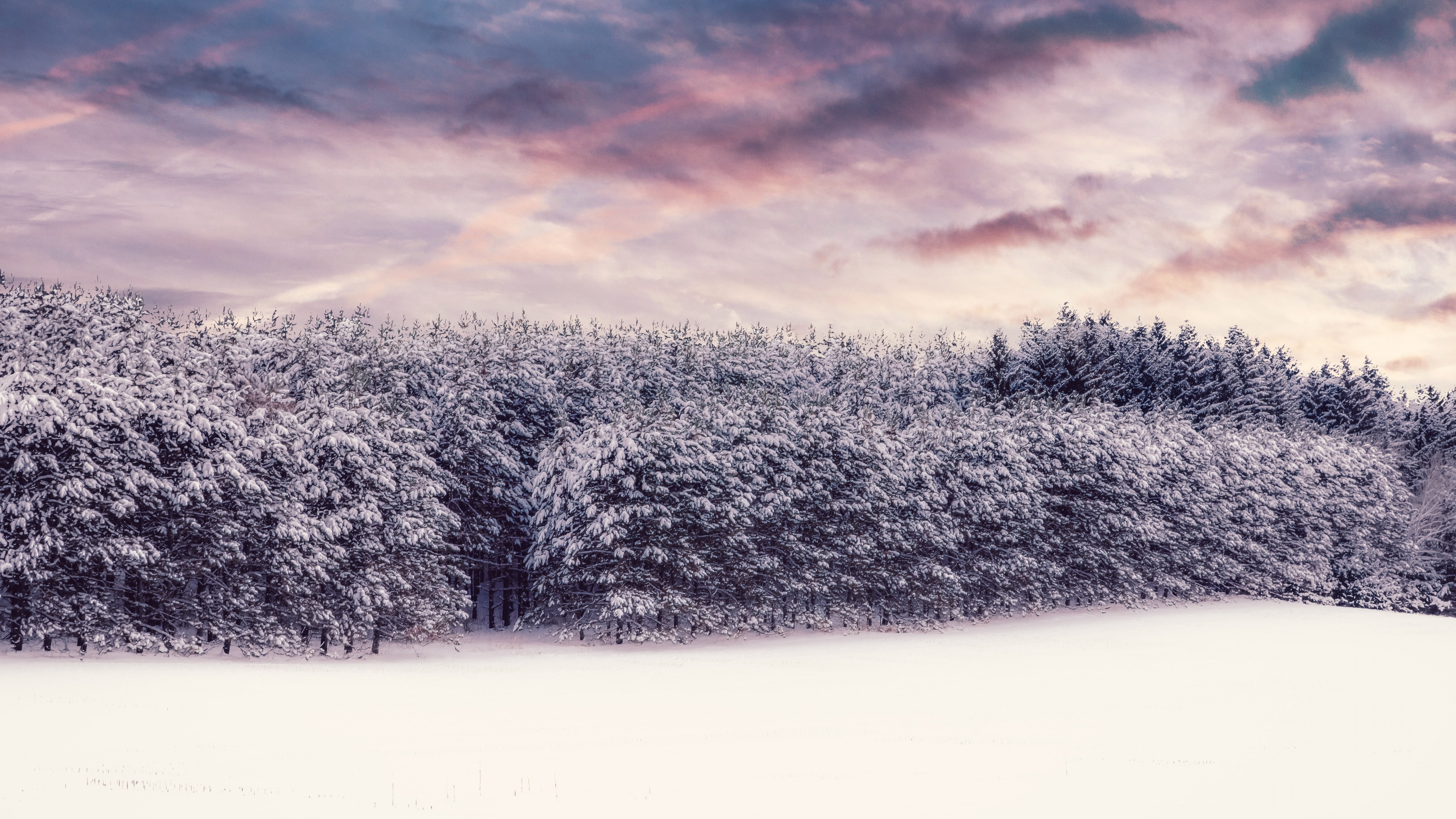 Snow covered Wallpaper 4K, Trees, Winter snow, Landscape, Clouds, Scenery, Nature