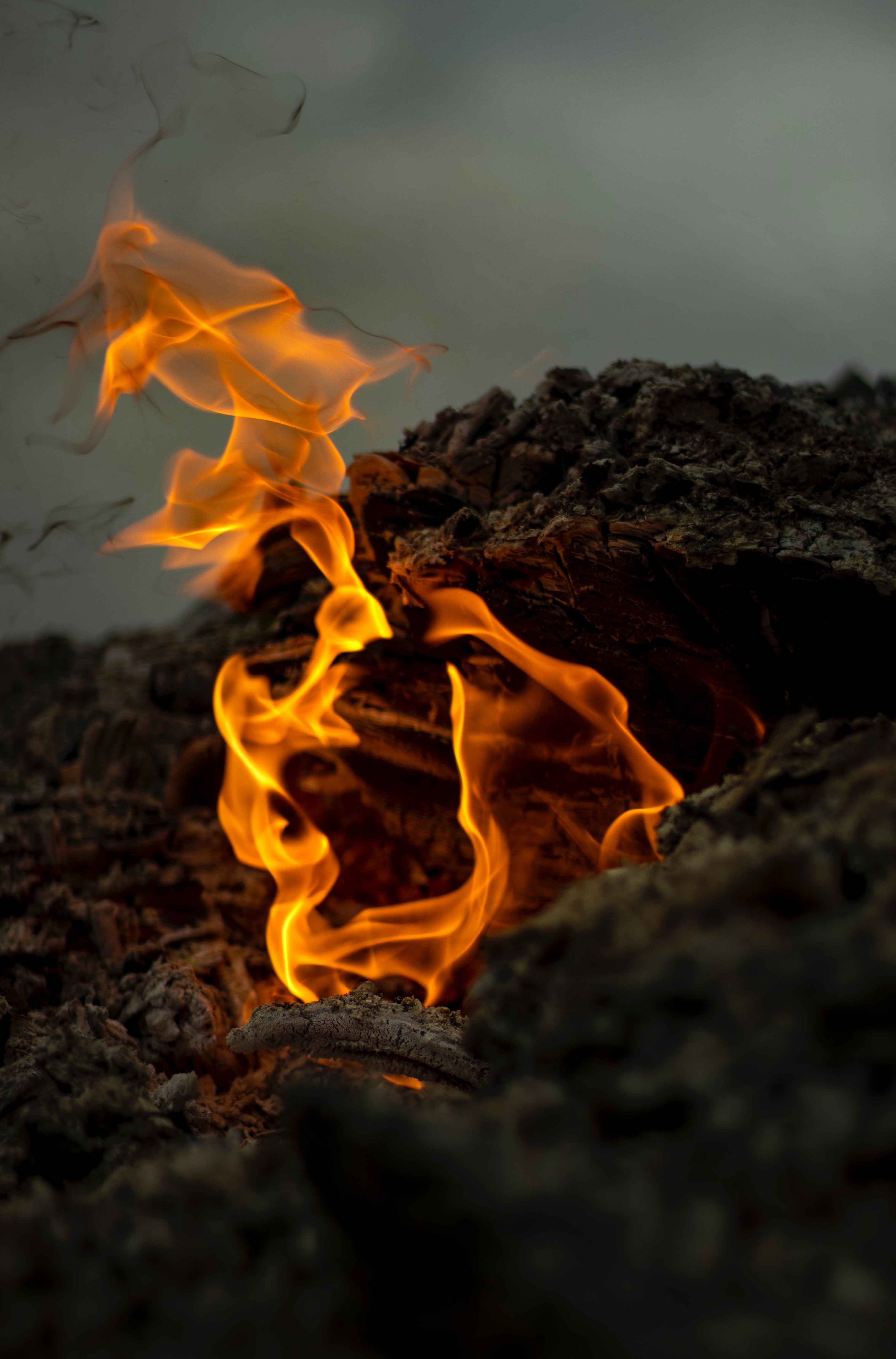 Download Wallpaper 3249x4926 Bonfire, Fire, Smoke, Close Up HD Background