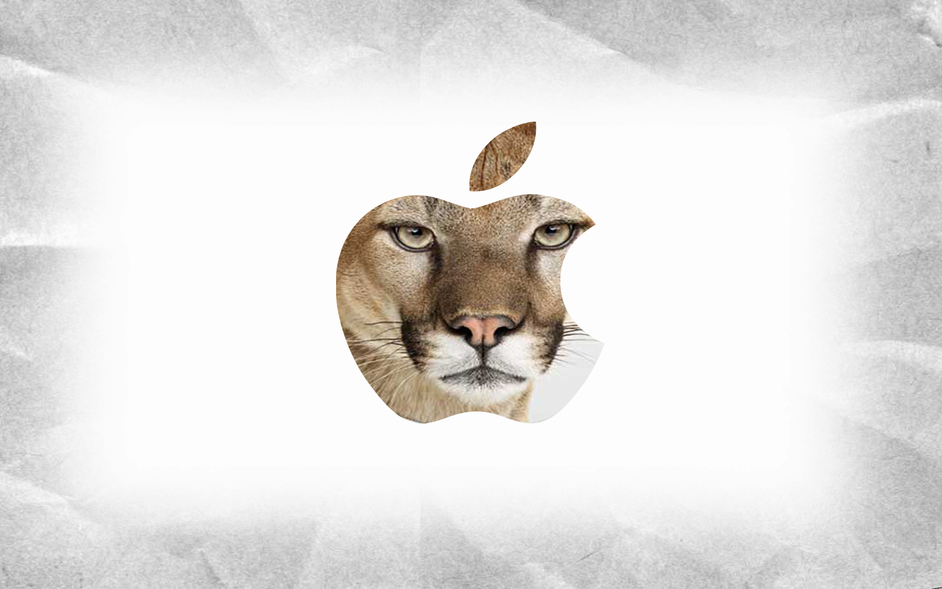 mac wallpaper hd lion