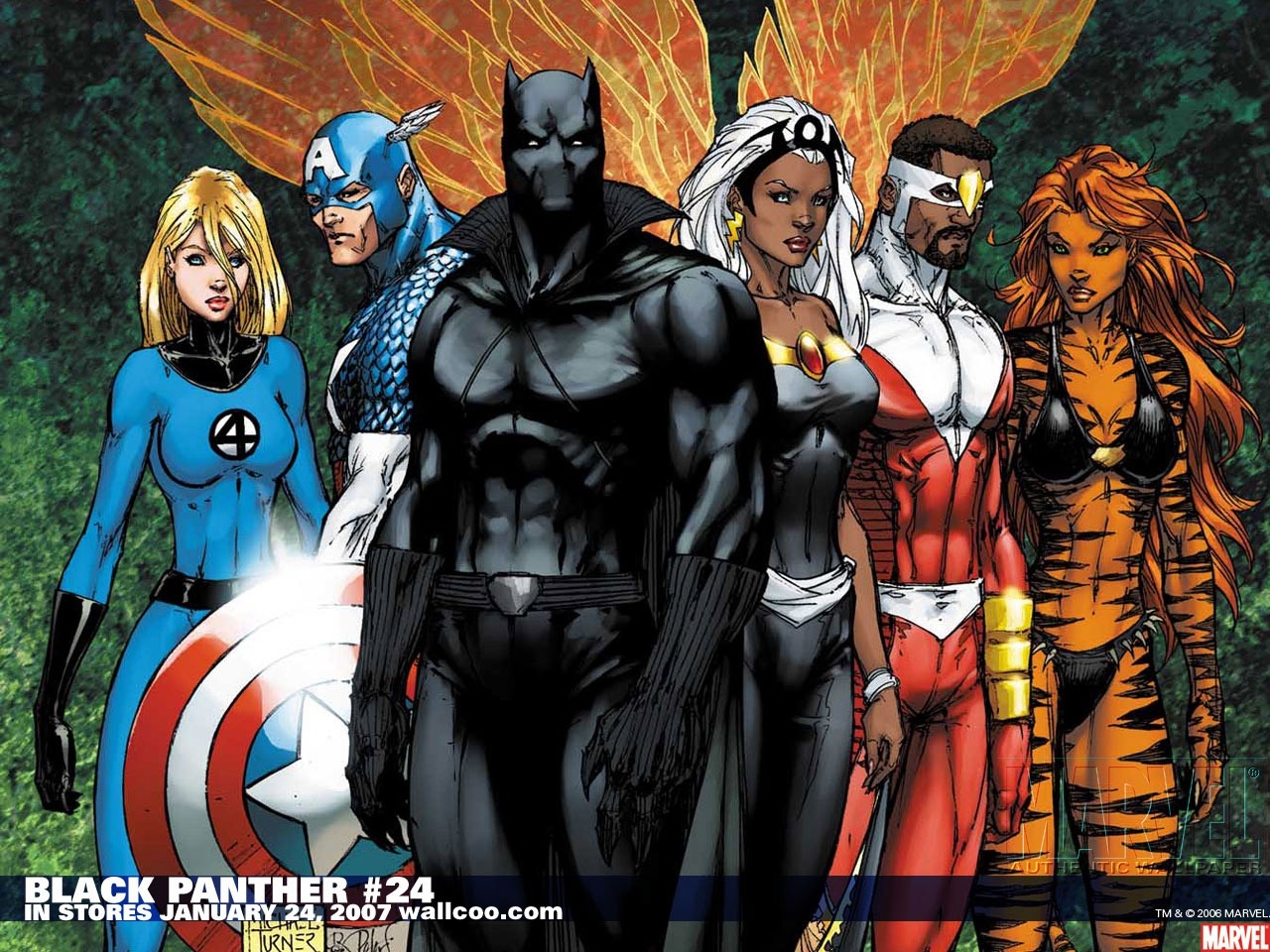captain america cheetahs black panther comics invisible woman marvel comics civil war storm comics High Quality Wallpaper, High Definition Wallpaper