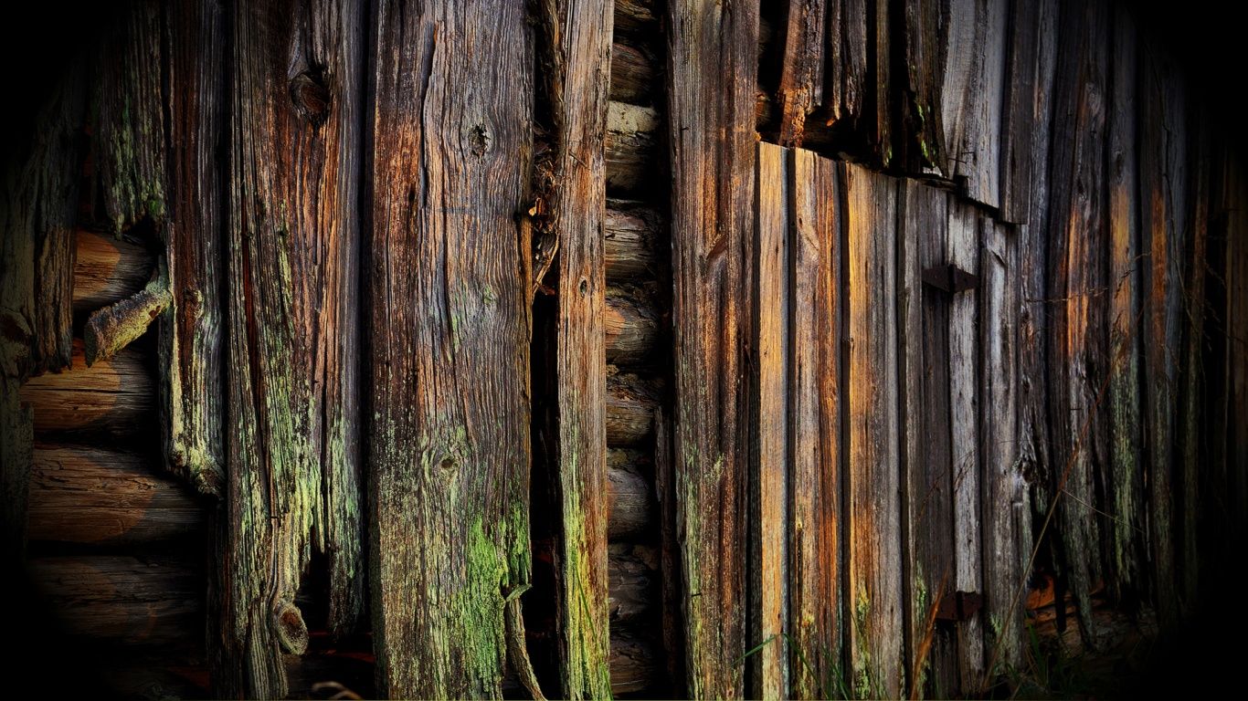 Barn Wood Wallpaper | Wayfair