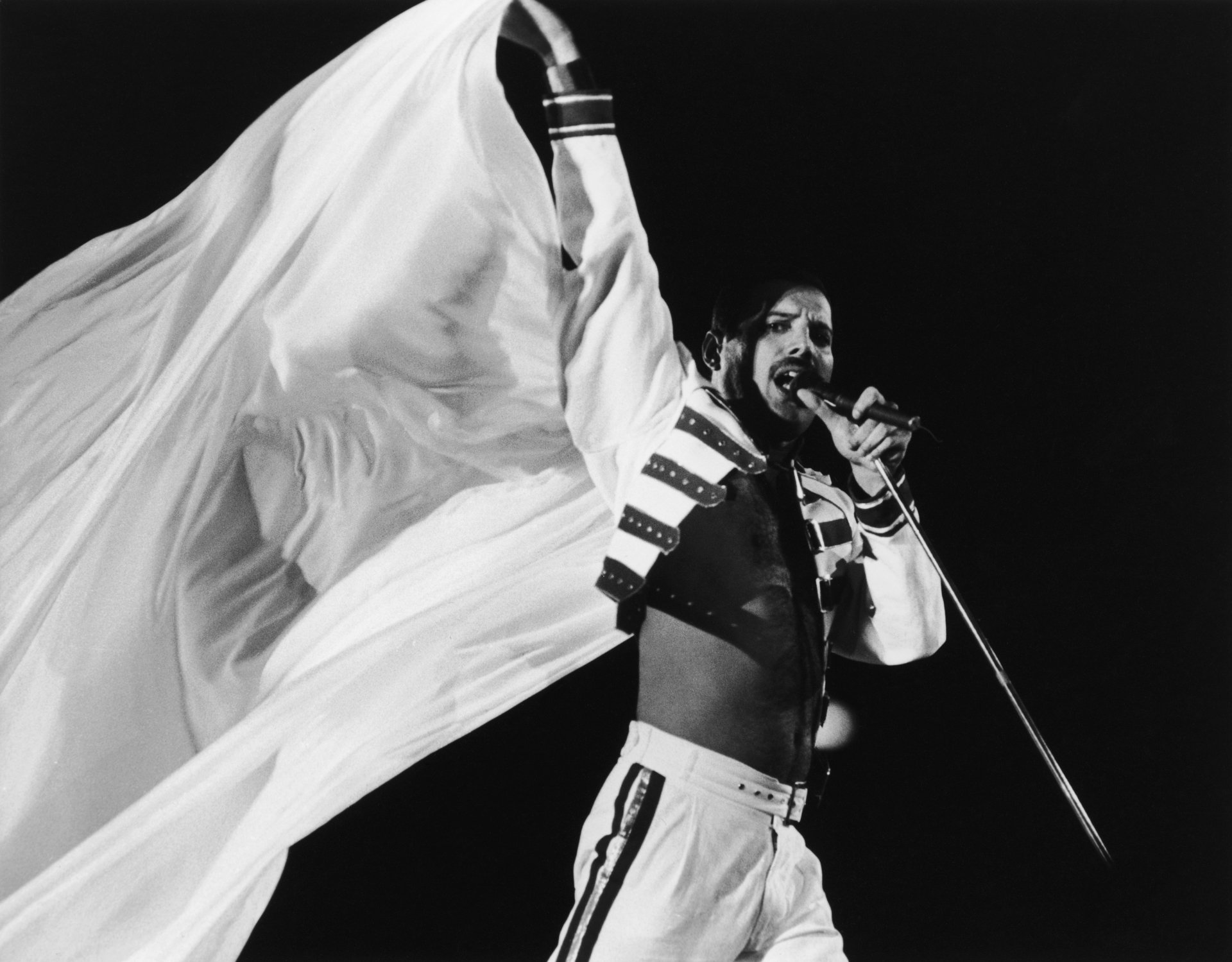 Freddie Mercury HD Wallpaper and Background Image