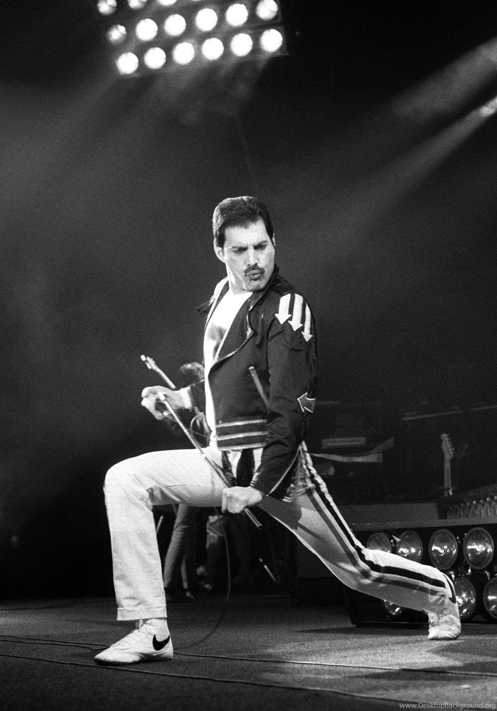 Freddie Mercury Photo, Pics, Wallpaper Photo Desktop Background