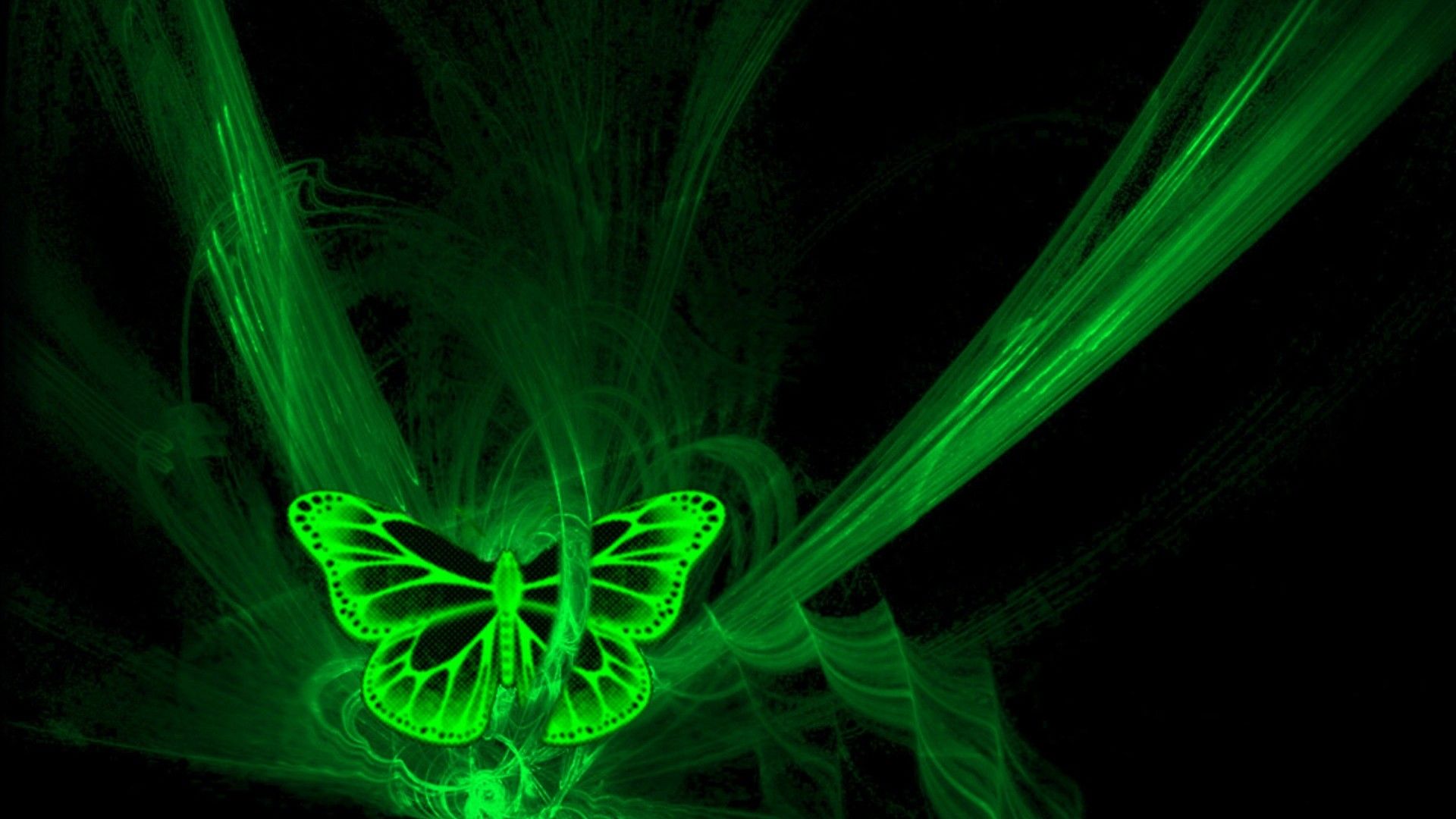 Neon Art Windows 8.1 Themes and Wallpaper. Butterfly wallpaper, Neon wallpaper, Green butterfly