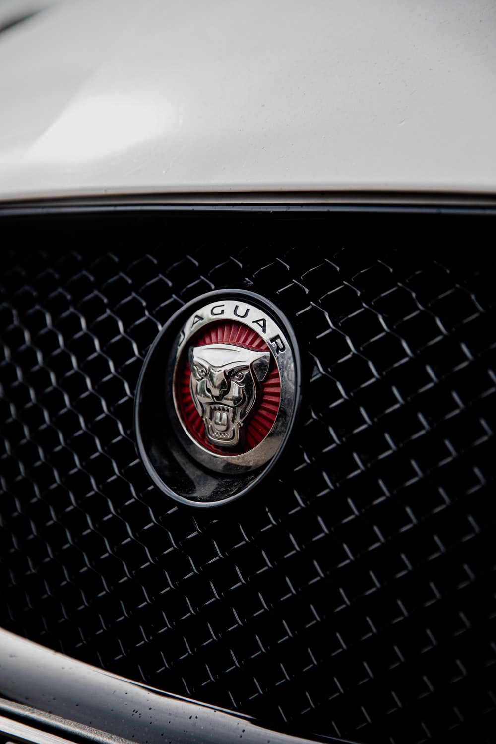 black and silver ford mustang emblem photo