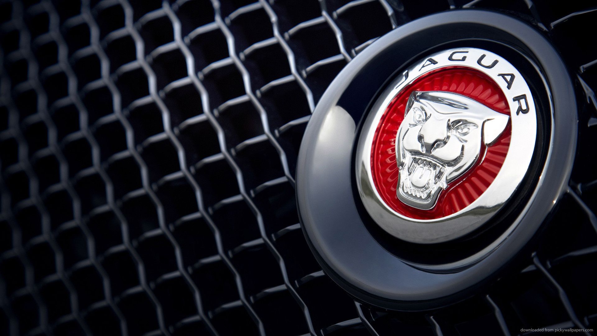 Jaguar Car Logo Wallpaper