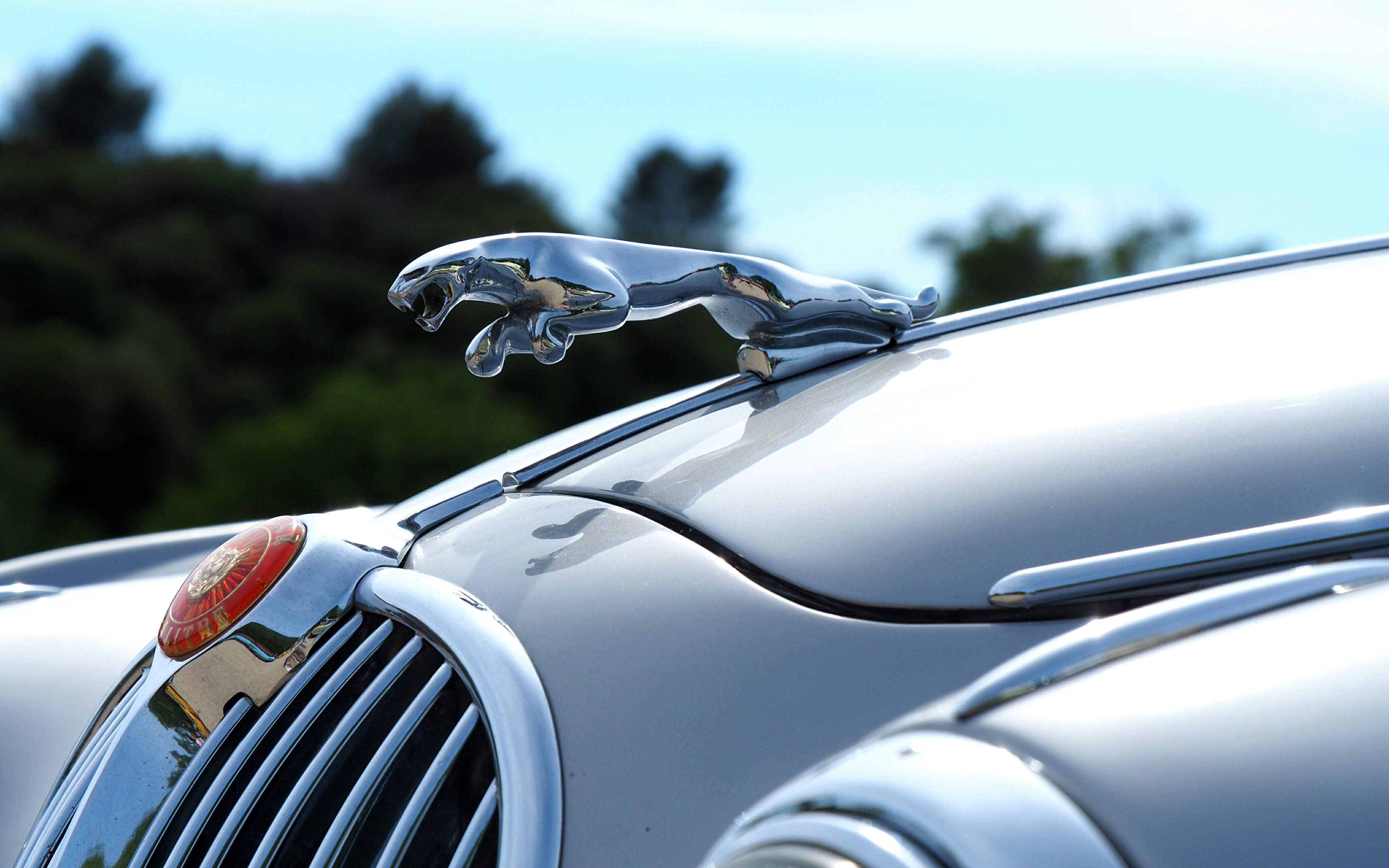 Desktop Wallpaper Jaguar Car, Logo, Car, HD Image, Picture, Background, Twqpqb