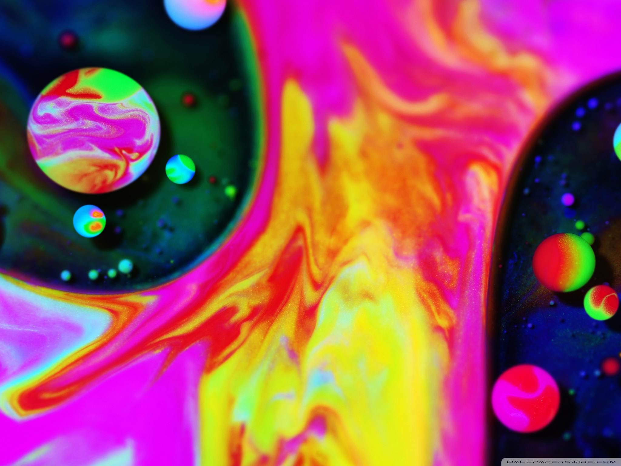 Neon Paint Splatter Macro Ultra HD Desktop Background Wallpaper for 4K UHD TV, Multi Display, Dual Monitor, Tablet