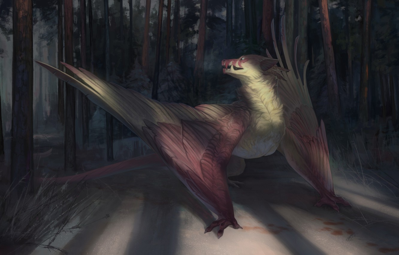 Wallpaper forest, dragon, wings image for desktop, section фантастика
