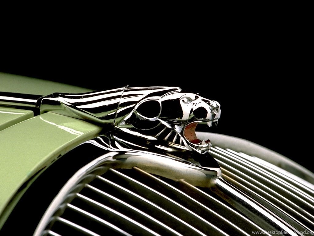 Jaguar Car Logo Wallpaper Johnywheels.com Desktop Background