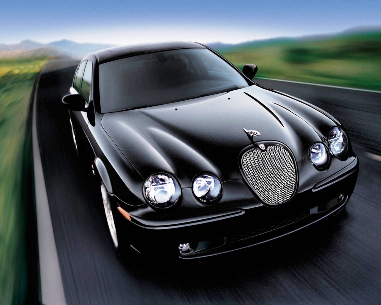 Jaguar HD Wallpaper