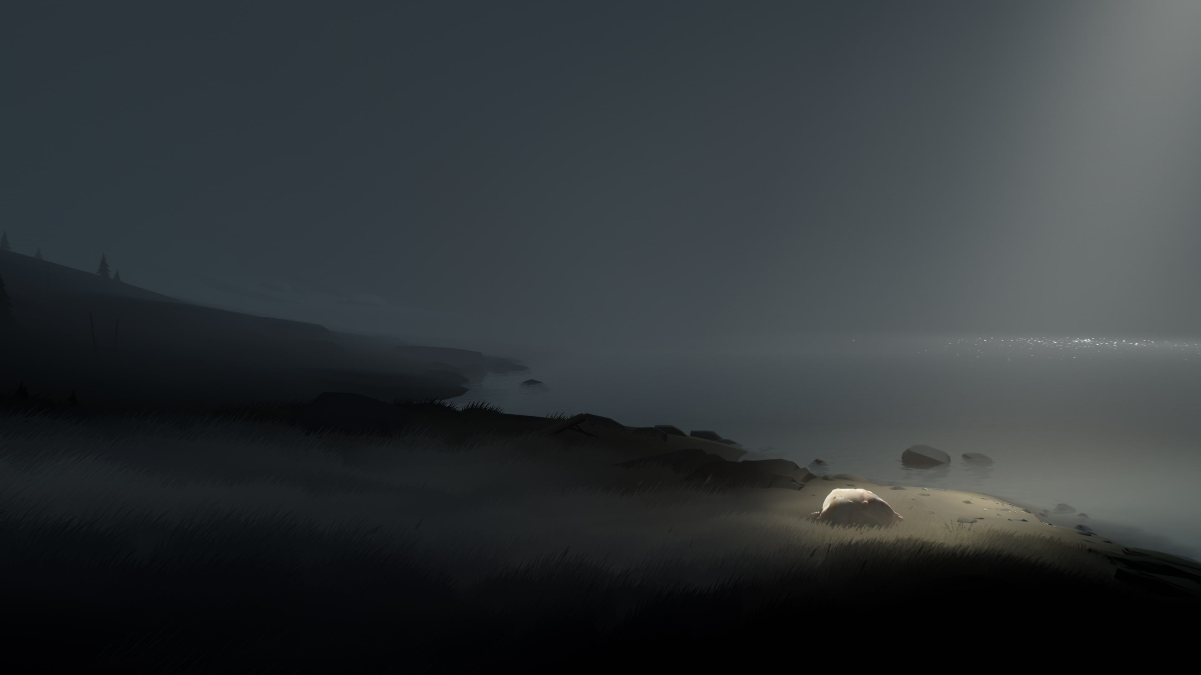 Video Game #Inside PlayDead's Inside K #wallpaper #hdwallpaper #desktop. Inside games, Playdead inside, Video game
