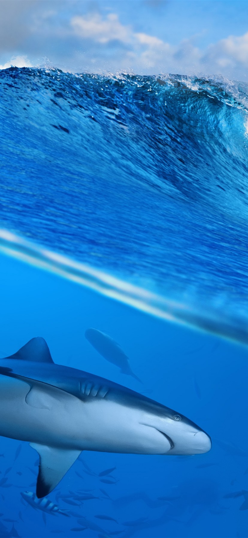 Wallpaper Sea waves, water splash, shark, underwater 5120x2880 UHD 5K Picture, Image