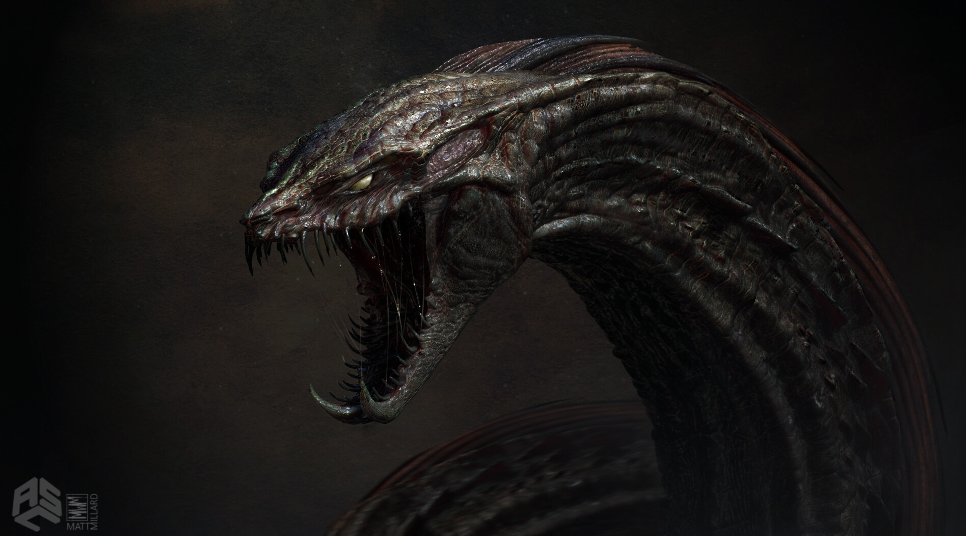 Warbat Wallpapers - Wallpaper Cave