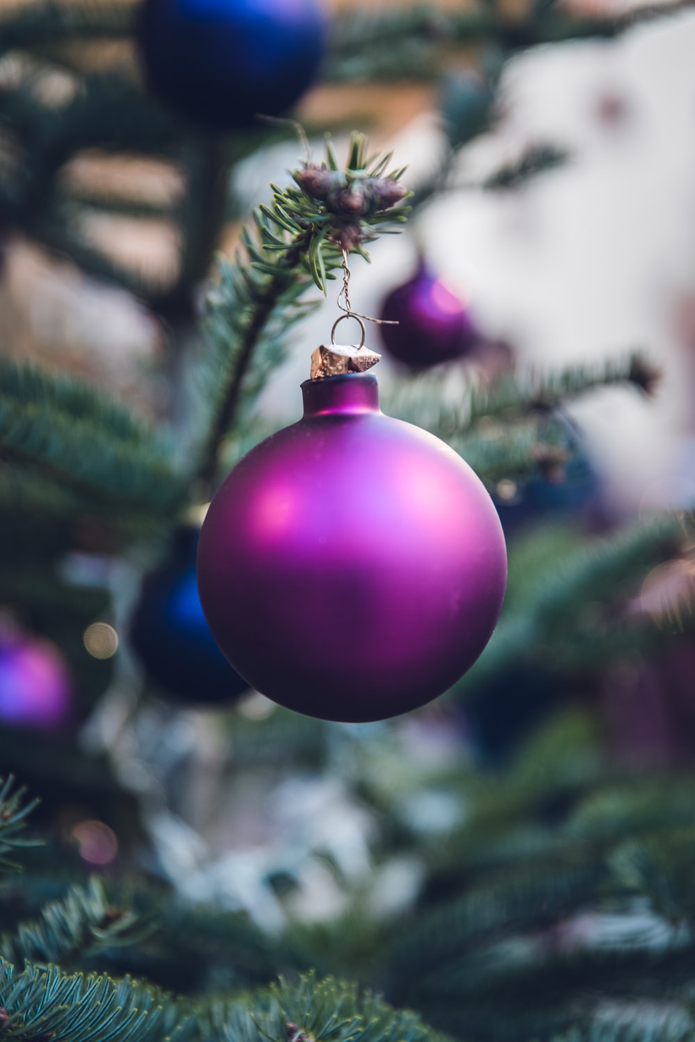 purple Christmas ball hang on Christmas tree photo