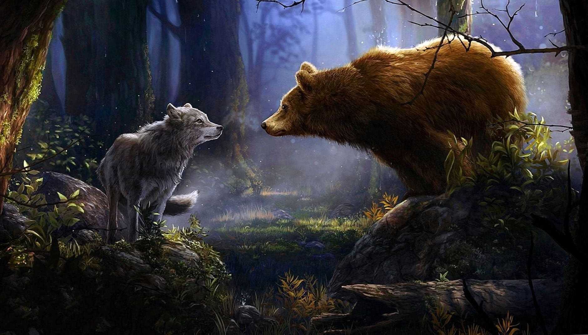 Bear And Wolf Wallpaper