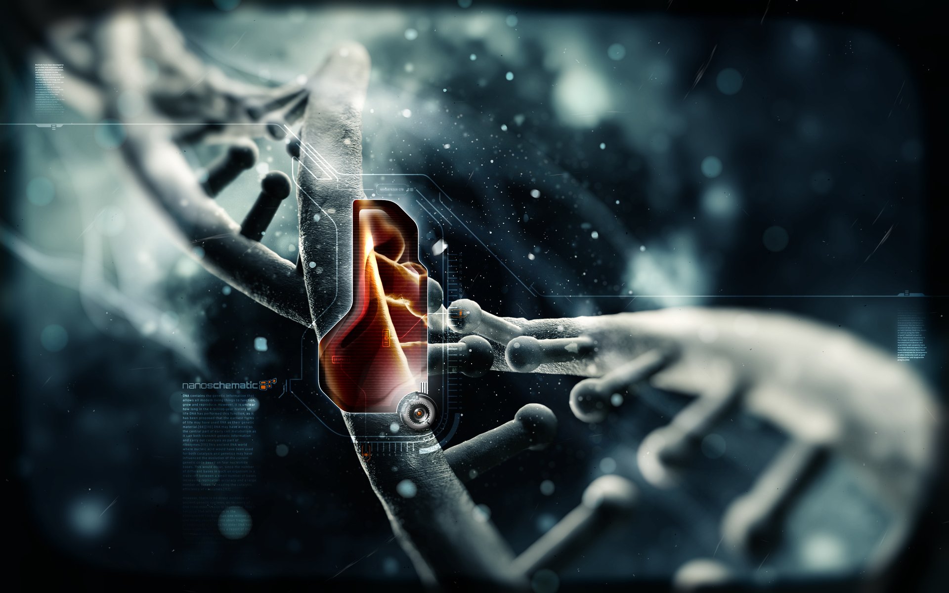 DNA Structure HD Wallpaper and Background Image