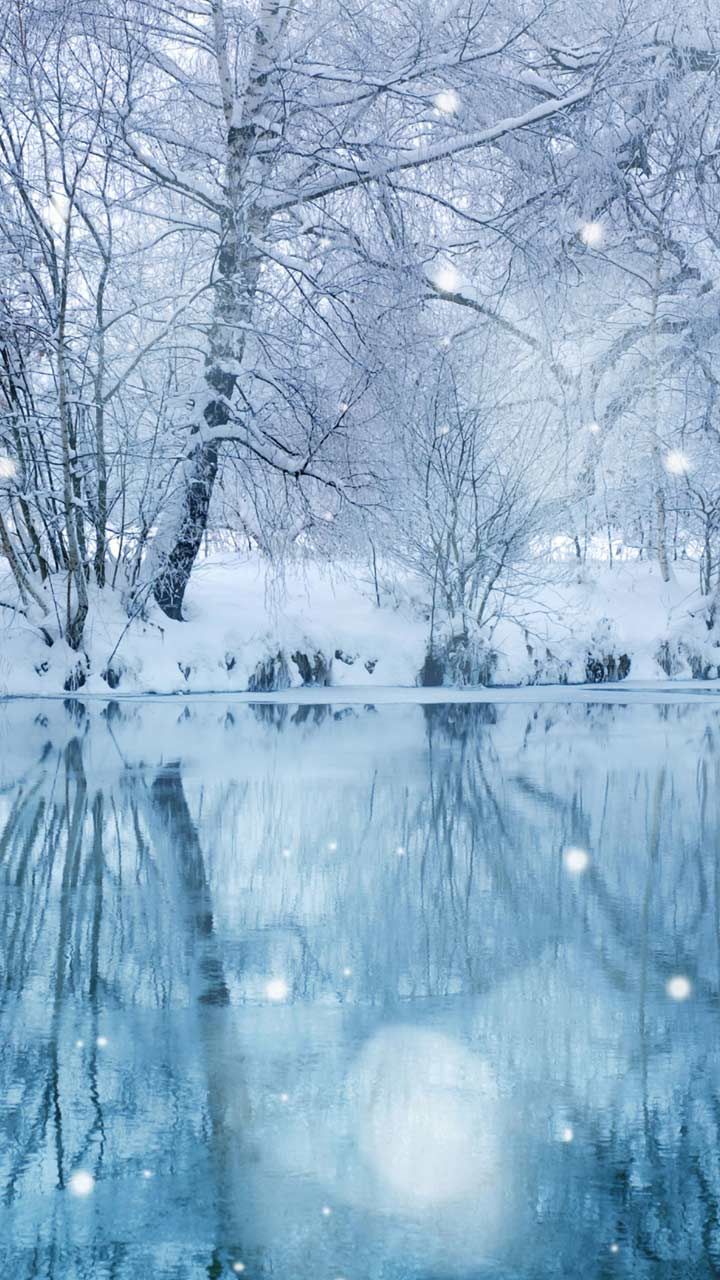 Beautiful nature wallpaper HD android phone background for free download. Winter landscape, Winter wallpaper hd, Beautiful nature wallpaper hd