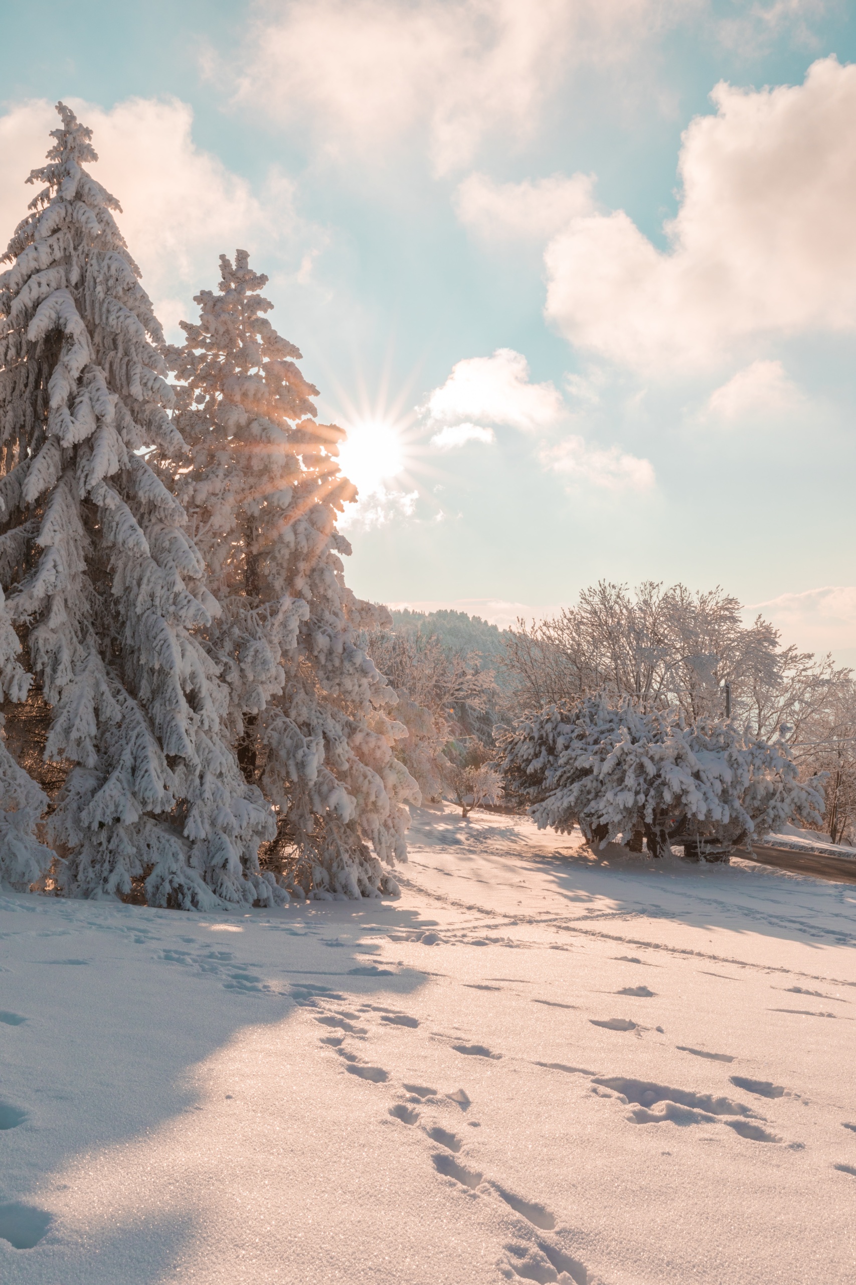 Khám phá những hình nền mùa đông đầy thẩm mỹ với màu be ấm áp và tuyết trắng đẹp như tranh vẽ. Cảnh tượng thú vị này sẽ mang đến bạn những giây phút thư giãn và cảm nhận sự huyền bí của mùa đông.